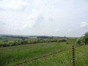 DSC04237
