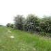 DSC04241