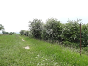 DSC04241