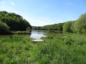 DSC04263