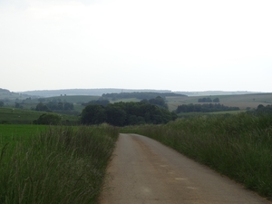 DSC04294