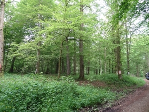 DSC04319