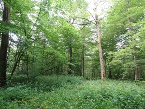 DSC04318