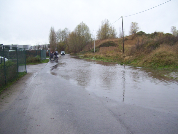 Wandeling langs Papenhofke - 30 november 2015