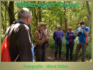 2015-06-07 WATERLOPEN DESSEL