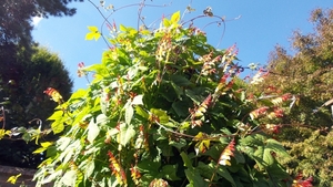 20150927_140851