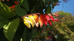 20150927_140904