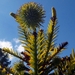 20150927_141140