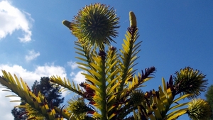20150927_141140