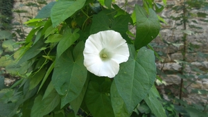 20150927_145353