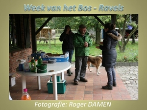 2015-10-18 WEEK vh BOS RAVELS (RD)