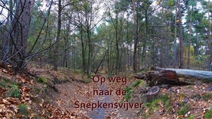 SNEPKENSVIJVER (GS)