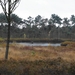 DSC04987
