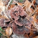 DSC05000