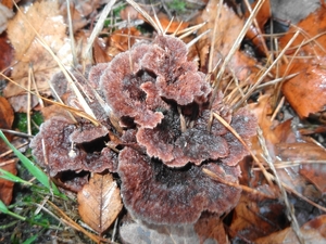 DSC05000