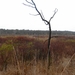 DSC05001