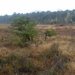 DSC05003