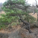 DSC05004
