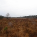 DSC05005