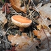 DSC05006