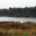 DSC05009
