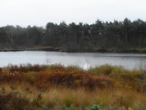DSC05009