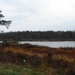 DSC05010