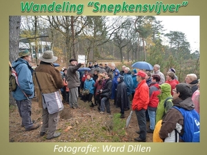 2015-11-14 SNEPKENSVIJVER (WD)