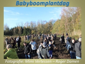 Babyboomplantdag