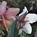 034
