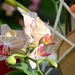 038