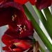 044
