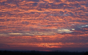 Zonsondergang boven onze Kempen