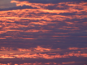 Zonsondergang boven onze Kempen