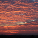 Zonsondergang boven onze Kempen