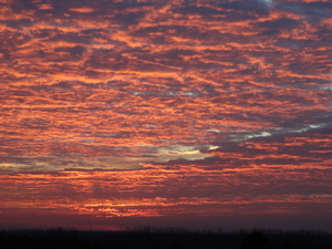 Zonsondergang boven onze Kempen