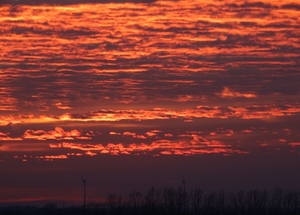 Zonsondergang boven onze Kempen