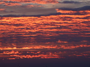 Zonsondergang boven onze Kempen