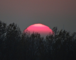 Zonsondergang boven onze Kempen