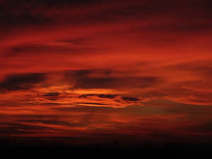 Zonsondergang boven onze Kempen