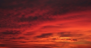 Zonsondergang boven onze Kempen