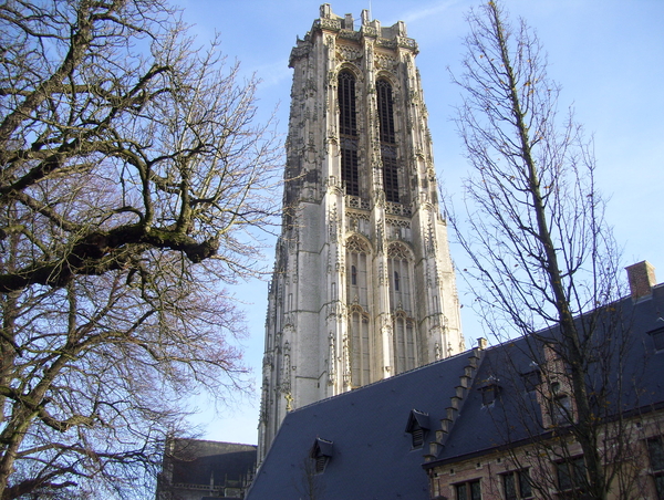 Wandeling naar Mechelen - 10 december 2015