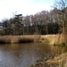Veel waterpartijen en