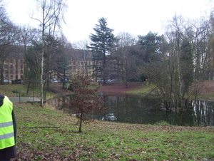 Wandeling Borgersteinpark - 14 december 2015