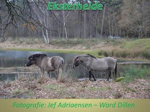 2015-12-06 EKSTERHEIDE