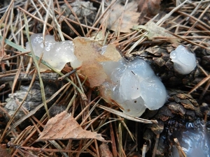 DSCN8920