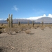 Los Cardones nat. park