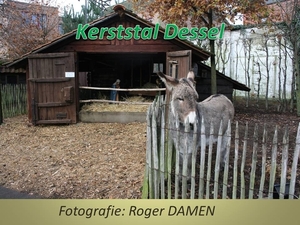 2015-12-12 KERSTSTAL DESSEL