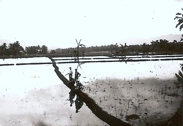 patrouillelopen (met geweer ben ik)