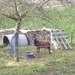 Wandeling langs Zorgvliet - 17 december 2015